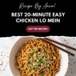 Chicken Lo Mein Recipe