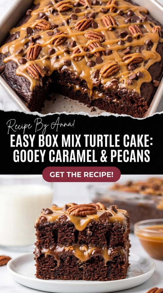 Mix Turtle Cake